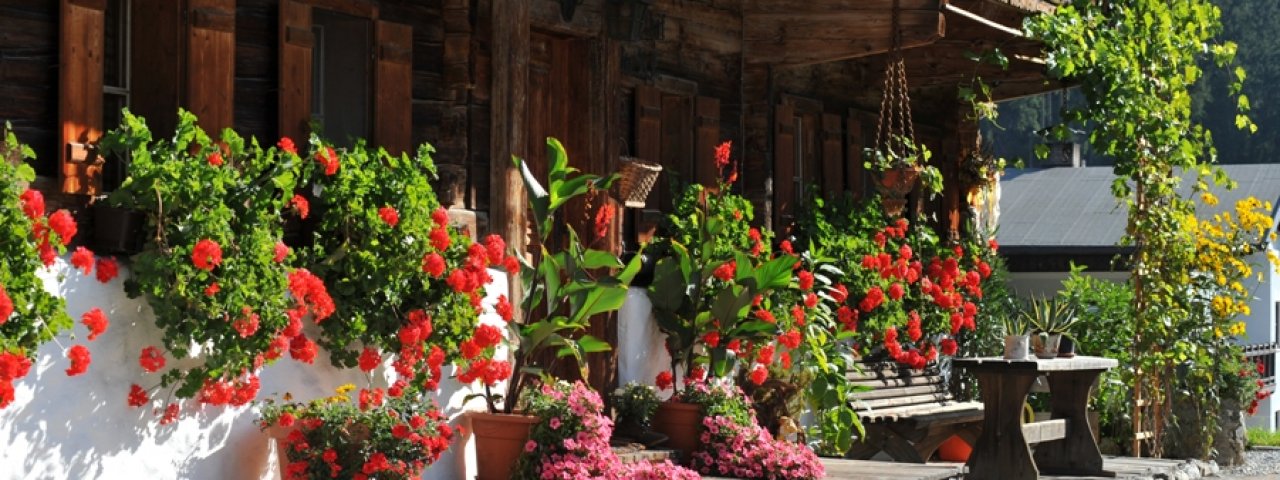 Fattoria con fiori nella Kelchsau, © Kitzbüheler Alpen