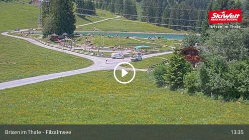 Wabcam Filzalmsee