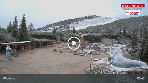 Wabcam Triassic Park