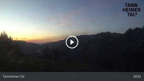 Wabcam Krinnenalpe