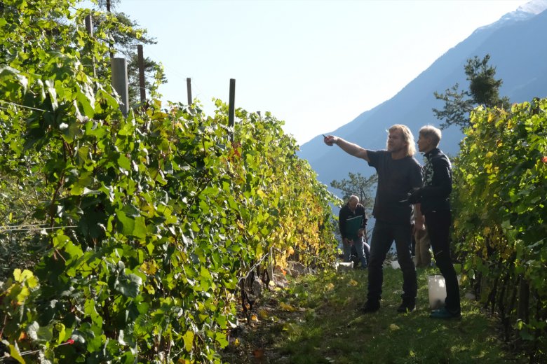I vignaioli Peter Zoller e Sieglinde Knabl “in riunione” davanti ai loro vitigni.