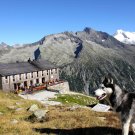 Vista sul rifugio Olperer Hütte nella valle Zillertal, © DAV - Club alpino tedesco