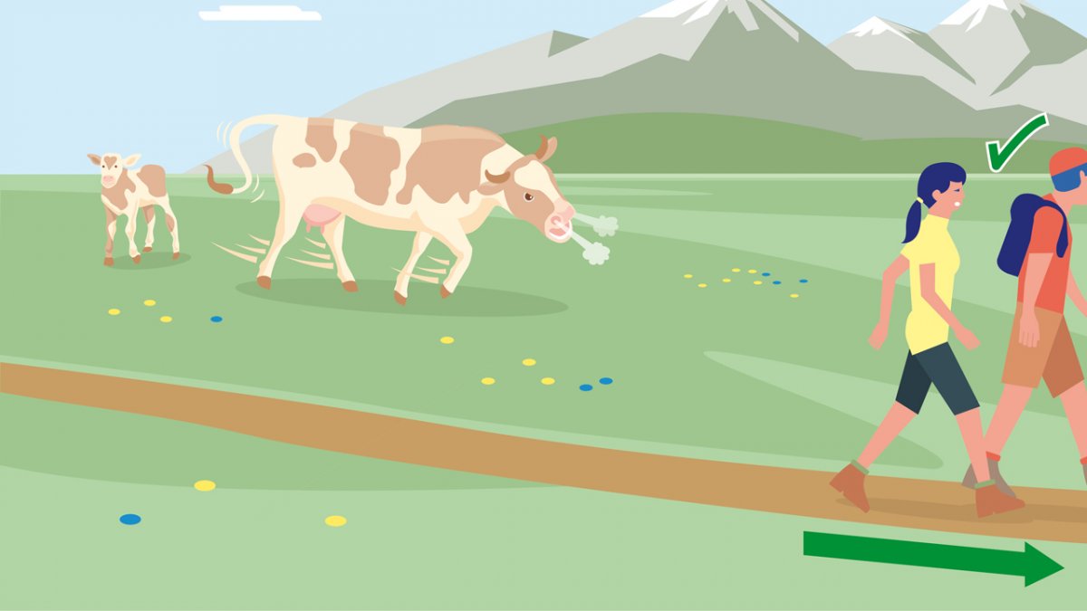 Il comportamento adatto 8, © Landwirtschaftskammer Tirol