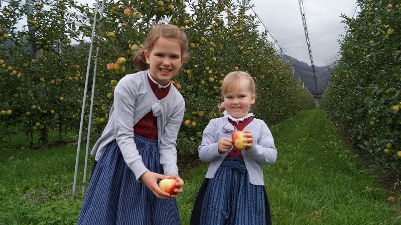 Festa delle mele dell'Osttirol