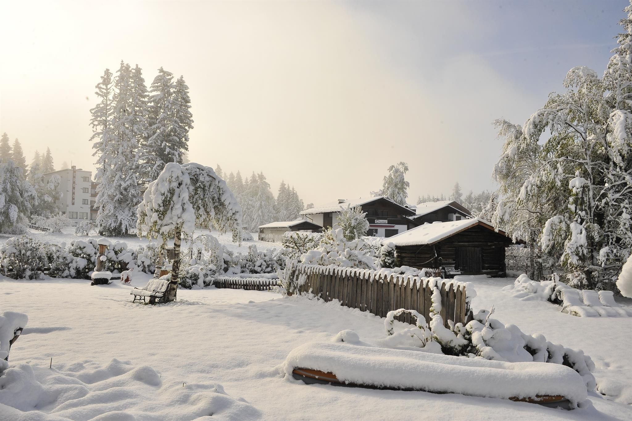 A snowy landscape with tall trees and a small garden. In the background, a few cottages are visible, all in sparkling white.
