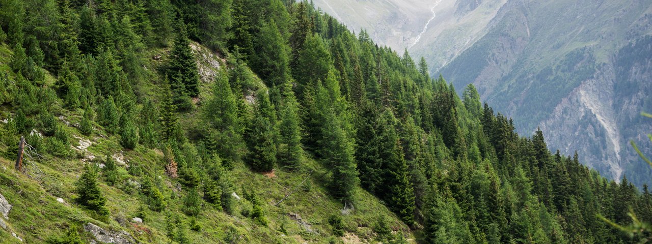 Leiterberg Trail, © Tirol Werbung/Peter Neusser