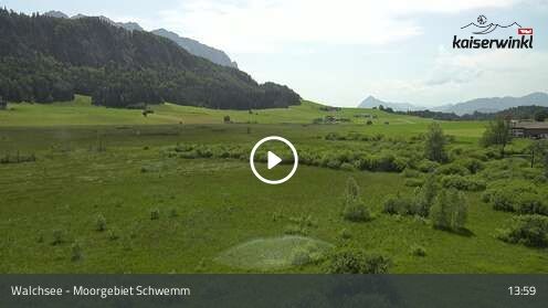 Wabcam Moorgebiet Schwemm