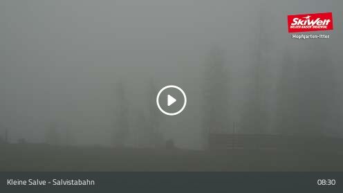 Wabcam Kleine Salve - Salvistabahn