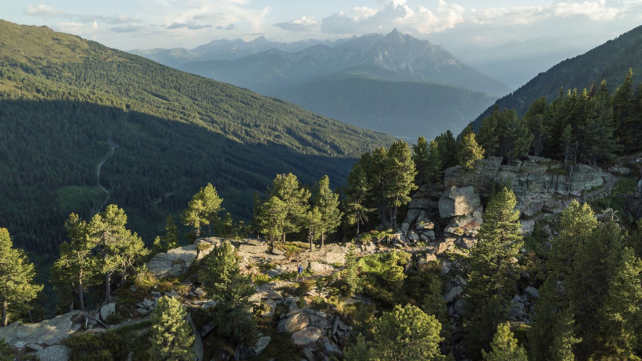 Il seniero dei pini cembri, © Tirol Werbung / Venier Martin