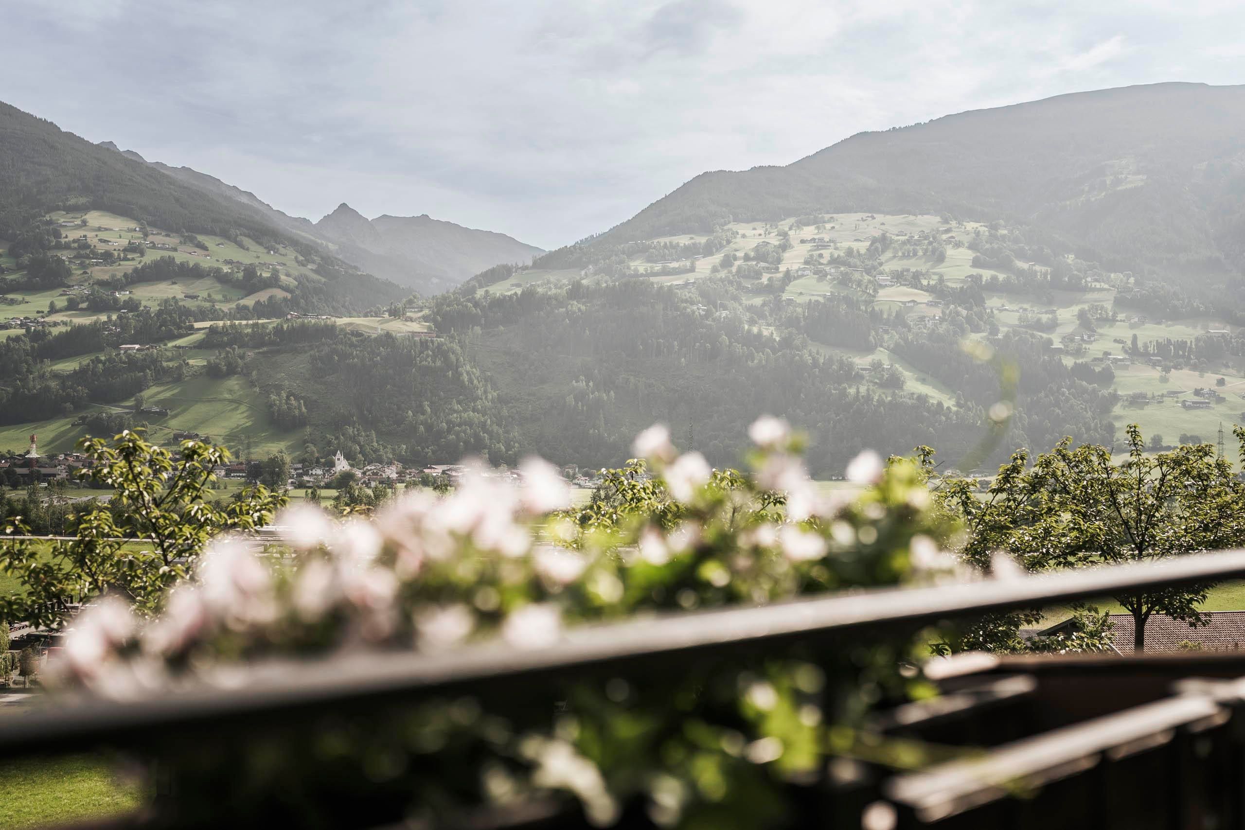 A picturesque mountain landscape with gentle hills and green meadows. In the foreground, blooming plants are flowering.