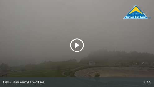 Wabcam Familienidylle Wolfsee