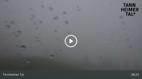 Wabcam Krinnenalpe