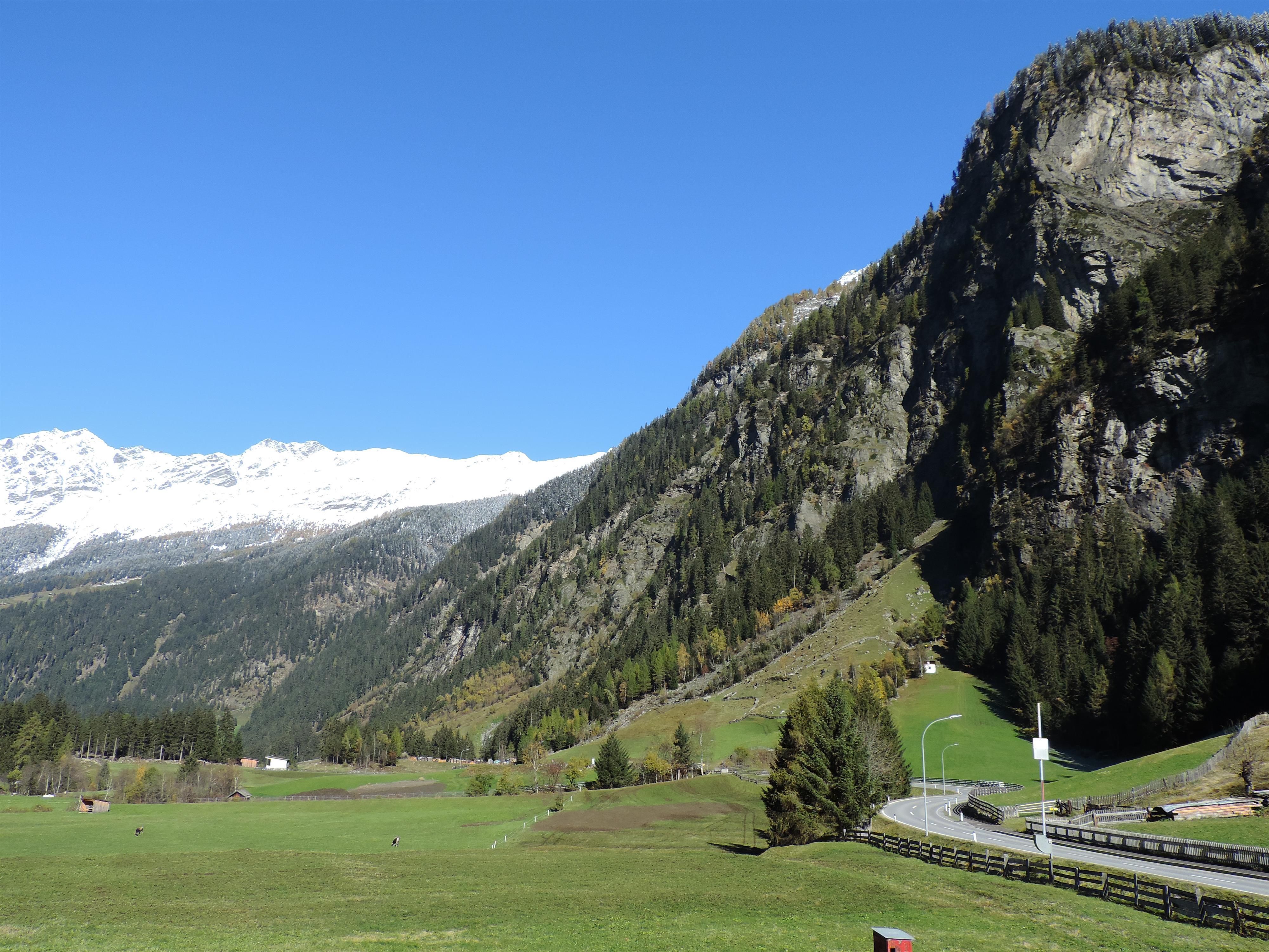 View Haus Renate in summer