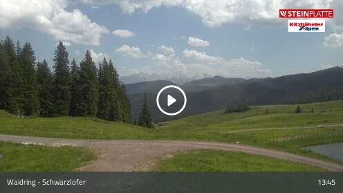 Wabcam Schwarzlofer