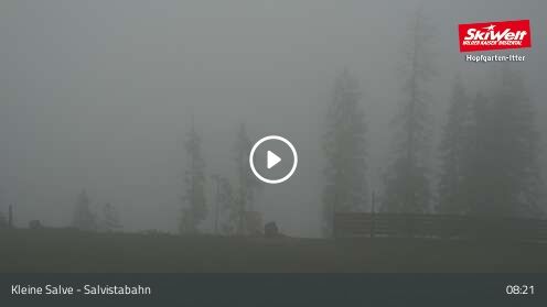 Wabcam Kleine Salve - Salvistabahn