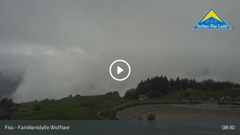 Wabcam Familienidylle Wolfsee