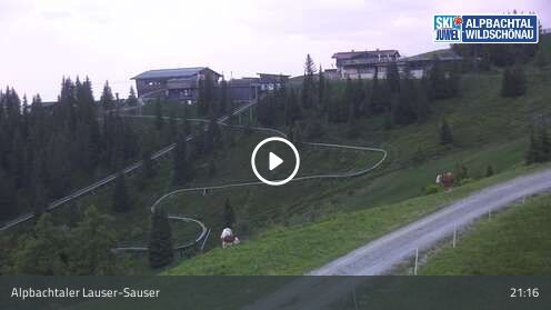 Wabcam Alpbachtaler Lauser-Sauser