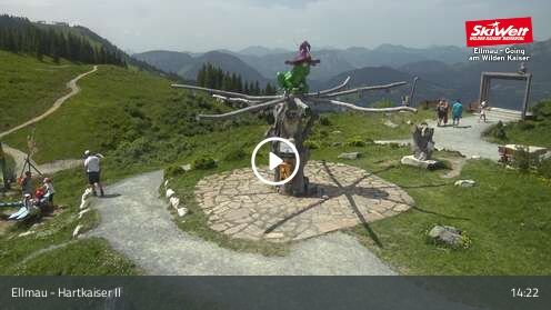 Wabcam Ellmau Hartkaiser II