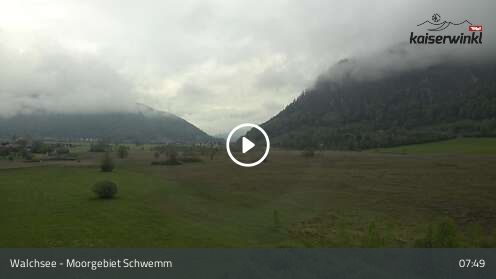 Wabcam Moorgebiet Schwemm