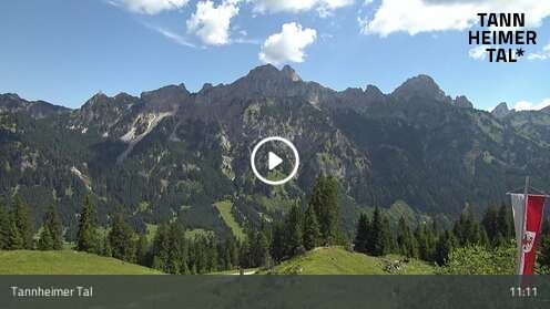 Wabcam Krinnenalpe