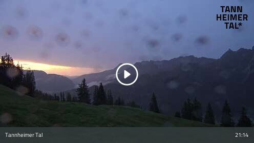Wabcam Krinnenalpe