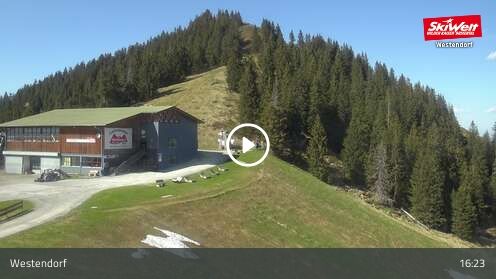Wabcam Talkaser