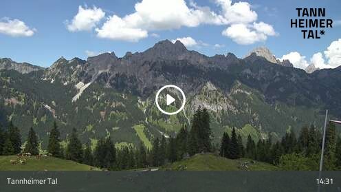 Wabcam Krinnenalpe
