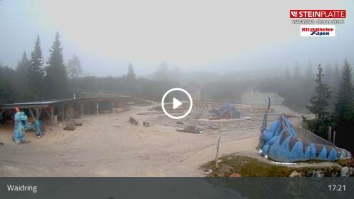Wabcam Triassic Park