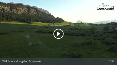 Wabcam Moorgebiet Schwemm