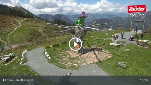 Wabcam Ellmau Hartkaiser II