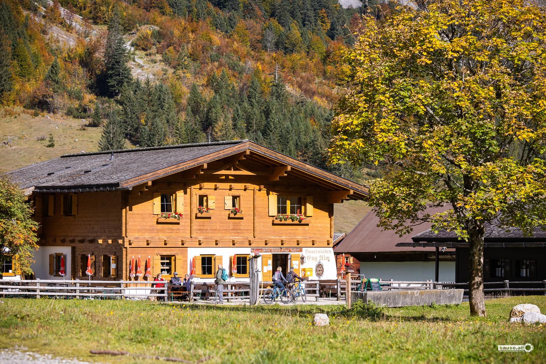 A traditional wooden house in a picturesque landscape. In the foreground, there is a tree, and in the background, there are hills with trees.
