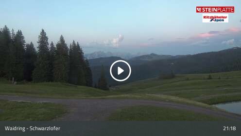 Wabcam Schwarzlofer