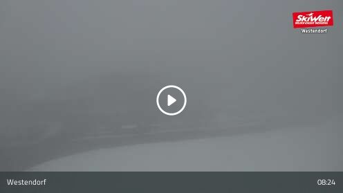 Wabcam Talkaser