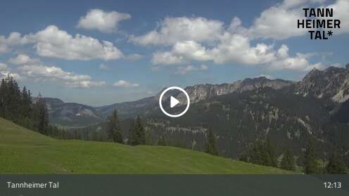 Wabcam Krinnenalpe