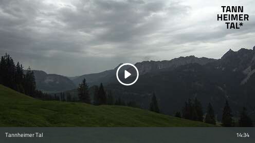 Wabcam Krinnenalpe