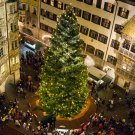 L'albero di Natale e il Tettuccio d'oro visti dalla torre civica a Innsbruck, © Tirol Werbung