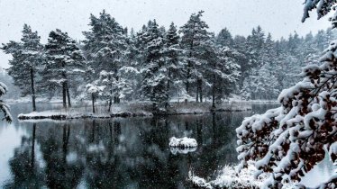 Escursione invernale Mösern, © Region Seefeld