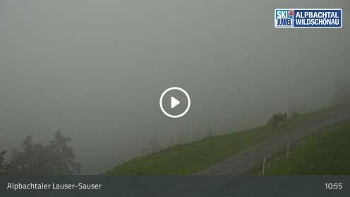 Wabcam Alpbachtaler Lauser-Sauser