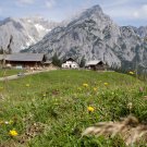 La malga Walder Alm sopra Hall in Tirol, © Tirol Werbung