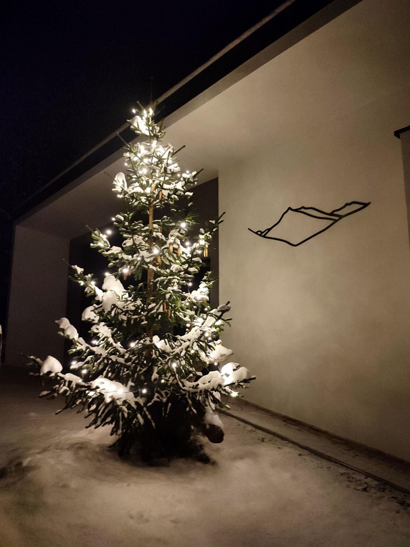 A beautifully decorated Christmas tree with lights and snow. The tree stands in front of a modern building at night.
