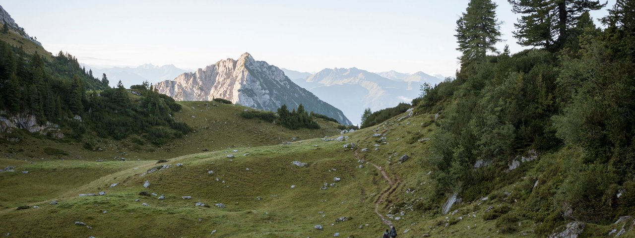 Sentiero dell'aquila, tappa 06: Pinegg – Steinberg am Rofan, © Tirol Werbung/Jens Schwarz