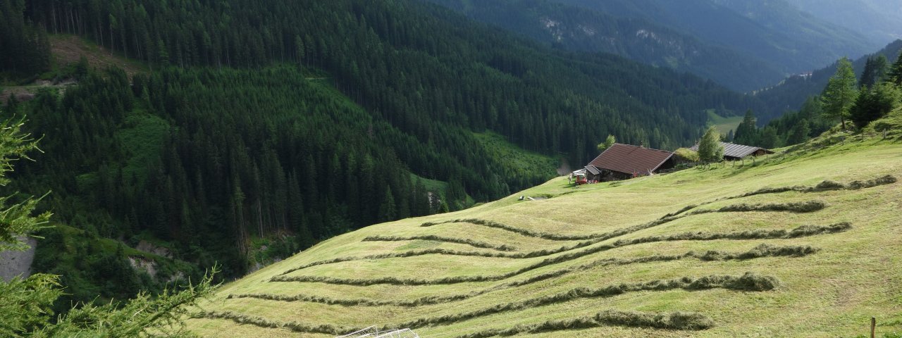 La valle Navistal, © Tirol Werbung/Nicole Pfeifer