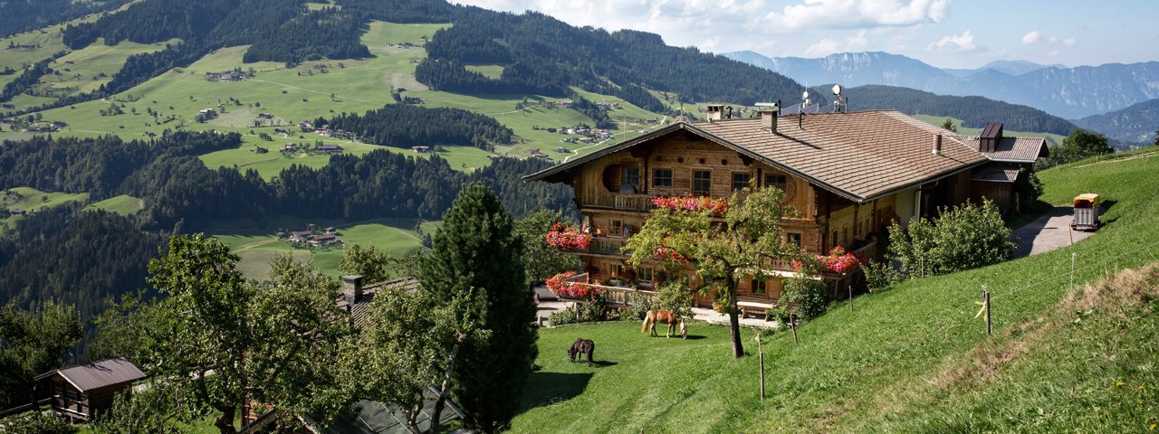 La fattoria Siedlerhof a Hopfgarten, © Tirol Werbung/Lisa Hörterer