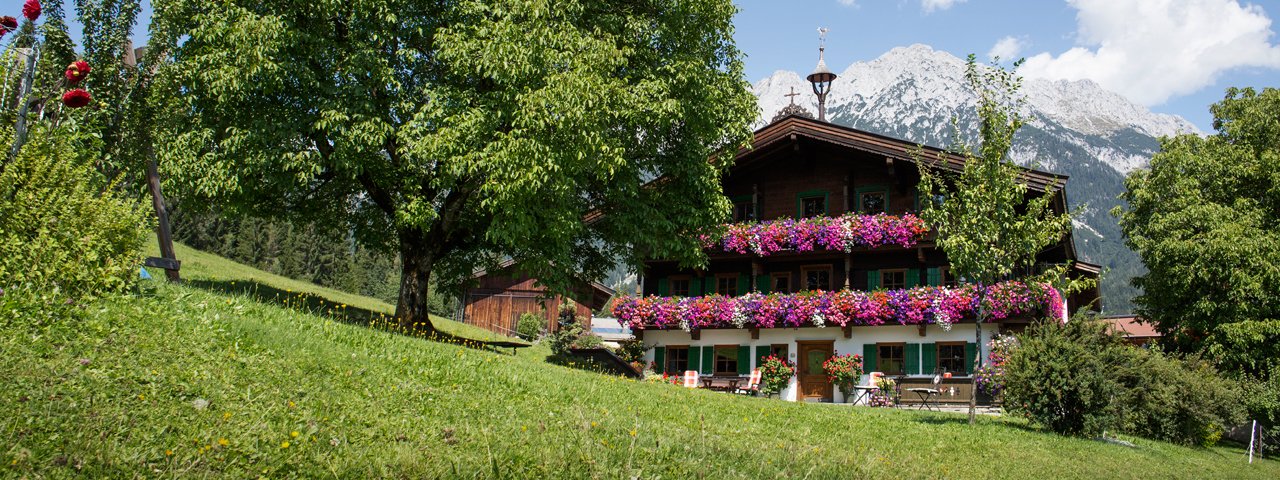 La fattoria Obholzhof a Scheffau, © Tirol Werbung/Lisa Hörterer