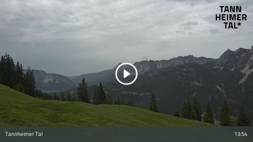 Wabcam Krinnenalpe