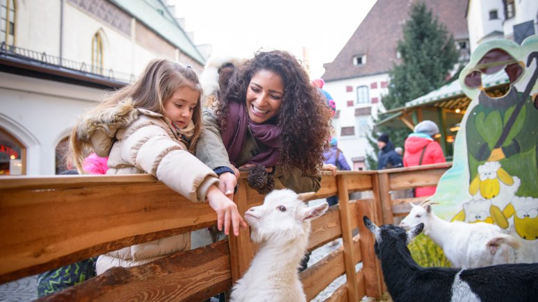 Animali da accarezzare al mercatino di Natale di Hall, © Stadtmarketing Hall
