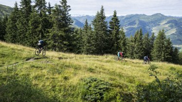 Fleckalm Trail, © Tirol Werbung/Peter Neusser