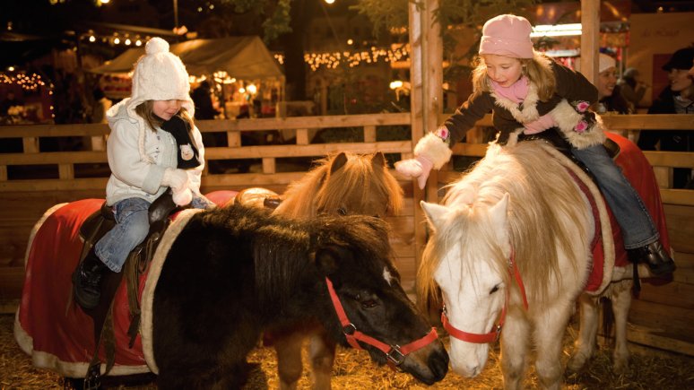 I pony del mercatino di Natale a Innsbruck, © Tirol Werbung/Laurin Moser