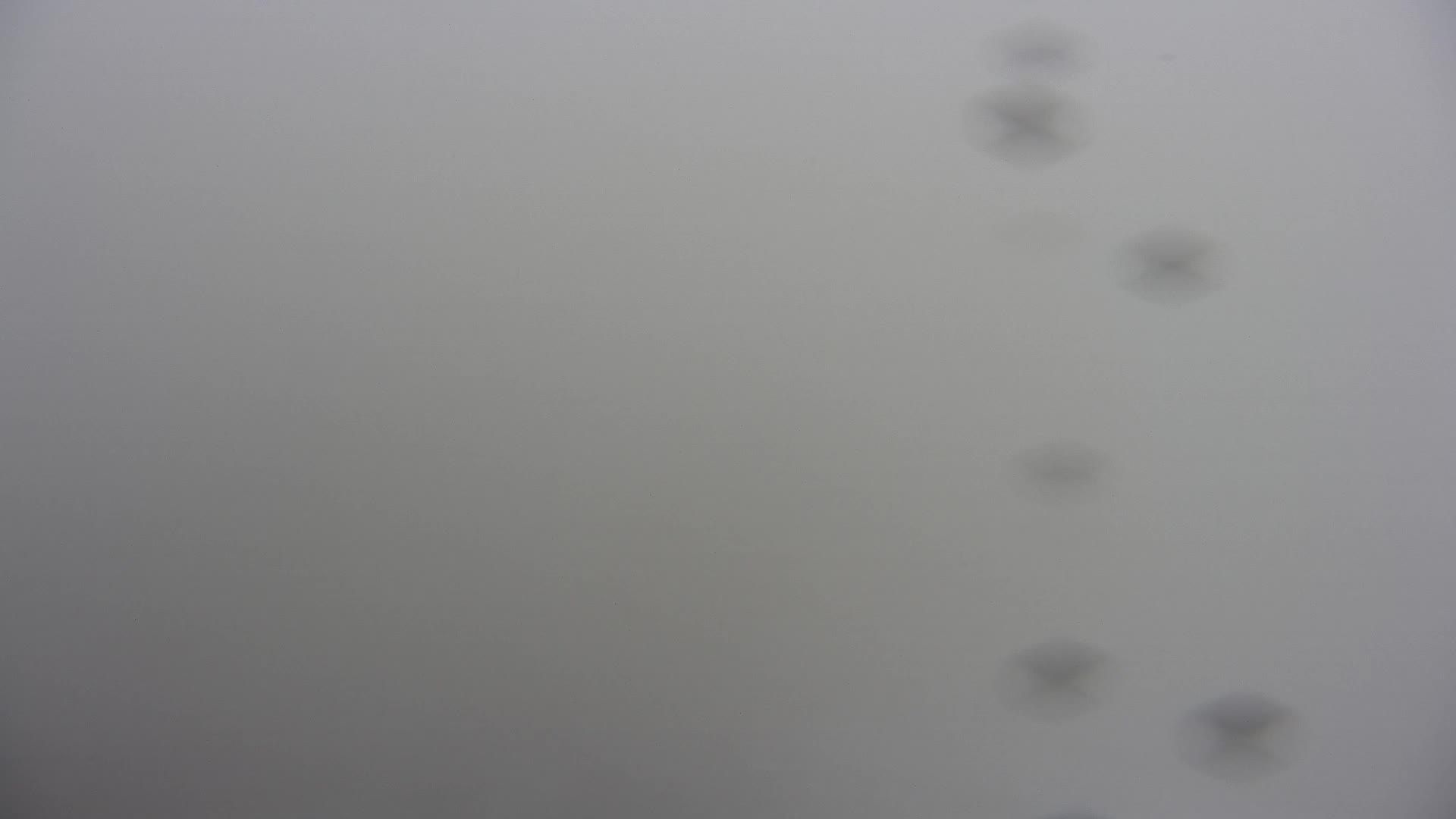 Wabcam Seefeld Rosshütte