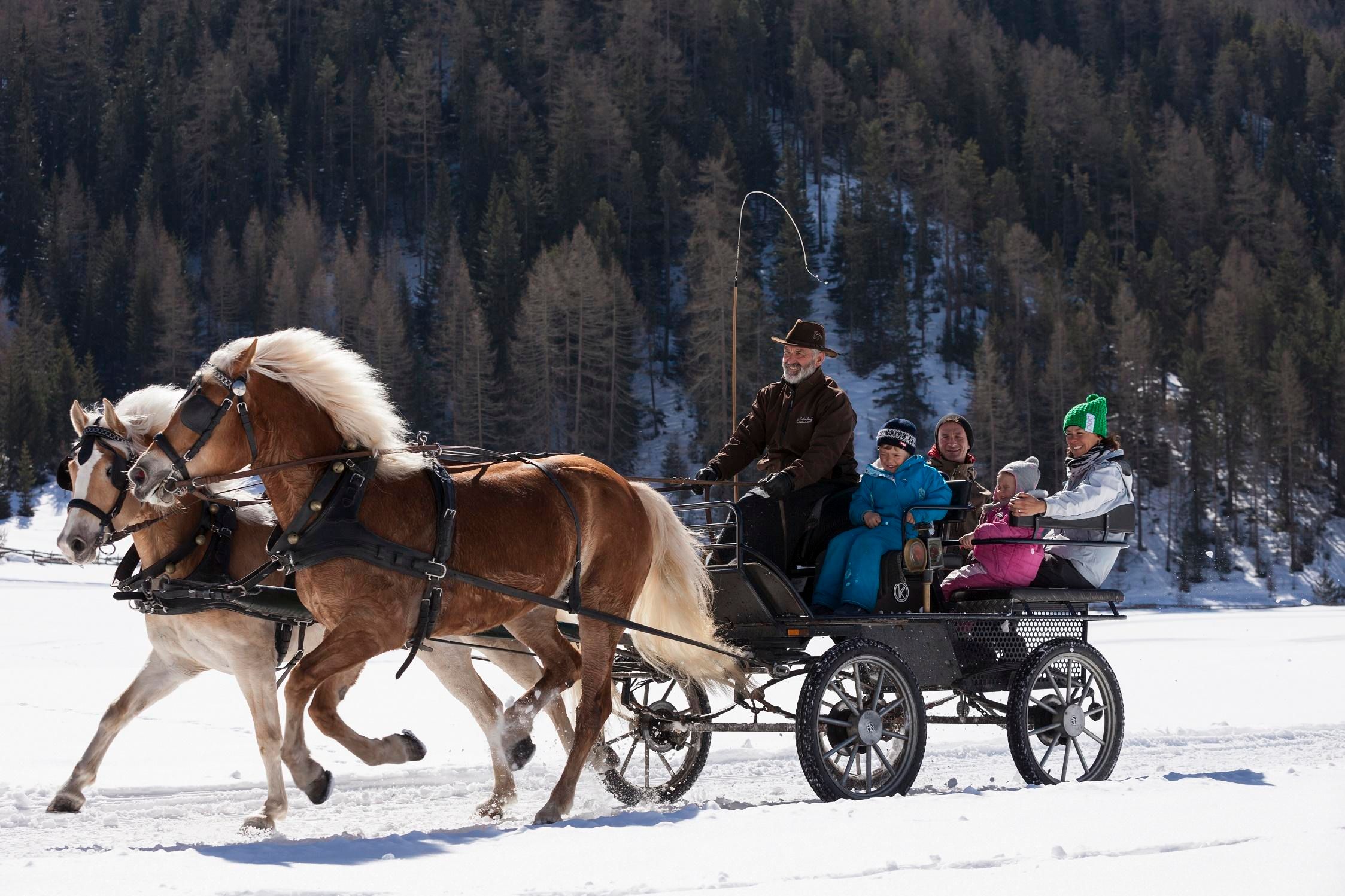 A carriage ride through a snowy landscape with two horses. The passengers, including children, enjoy the winter atmosphere.